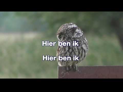 Opwekking 786 Met hart en handen