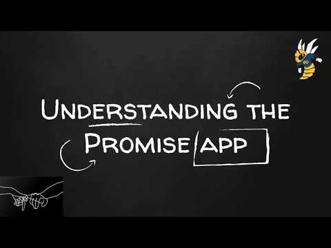 Understanding the Promise App