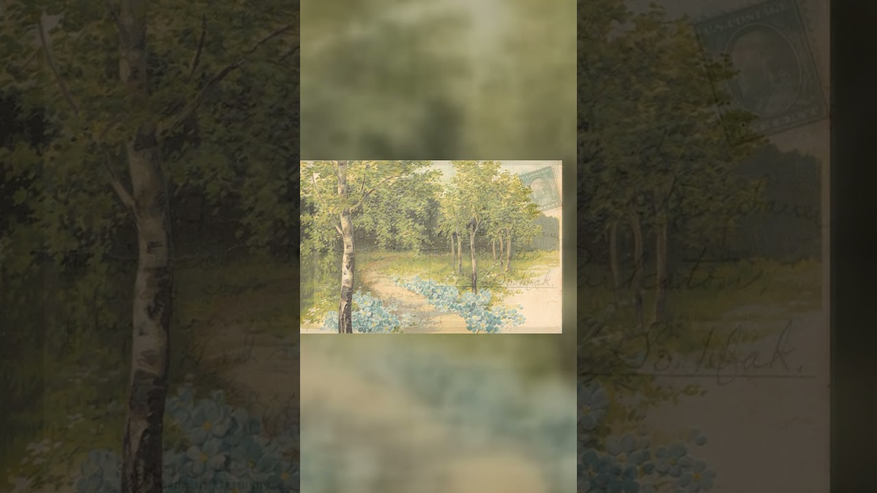 Made in Germany, Divided Back, Scenic Path, 1912 Postmark Video