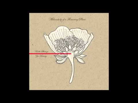 Koichi Shimizu & Zai Kuning / Melancholy Of A Flowering Plant