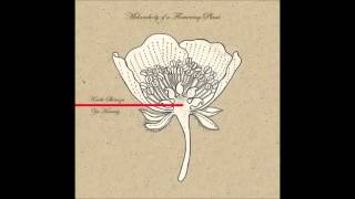 Koichi Shimizu & Zai Kuning / Melancholy Of A Flowering Plant