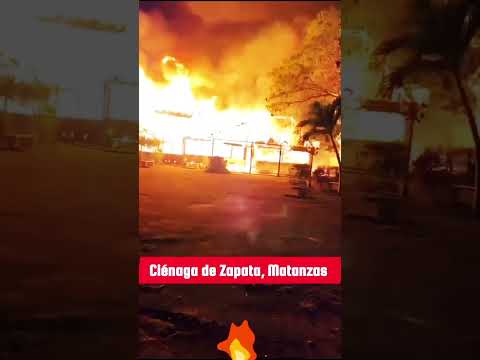 🔥En la Ciénaga de Zapata, Matanzas, grave incendio de grandes proporciones. #noticias #cuba #viral