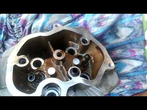 losscom....tmx alpha