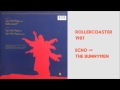 Rollercoaster by Echo and the Bunnymen 1987 rare single