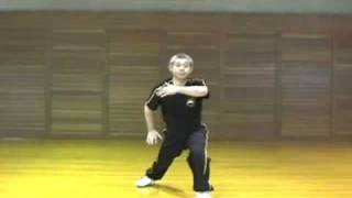 流体太極拳 Fluid body Taichi