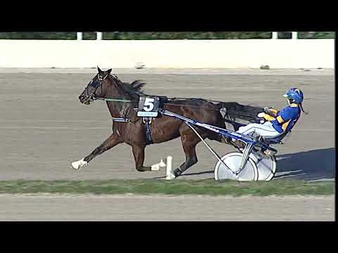 Napoli Trotto 23/12/2022 - 4ª corsa