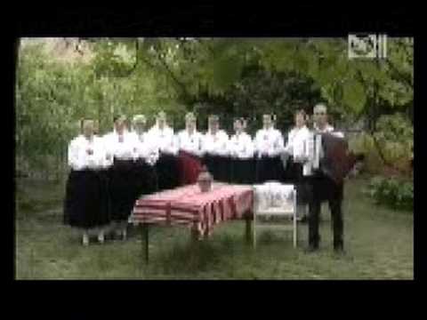 KUD Zatva zoz Kocura spivanki persa casc