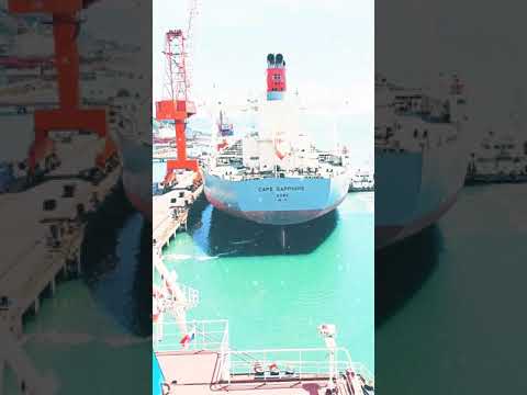 Biggest Ship Berthing || Panamax Vs Cape Size #shorts