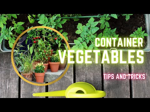 , title : 'Container Vegetable Gardening for Beginners: Tips and Tricks'