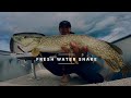 Video Thumbnail for Best pike fishing i ever had!