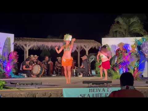 Ta'utiare at Heiva I Sea Life Park 2023