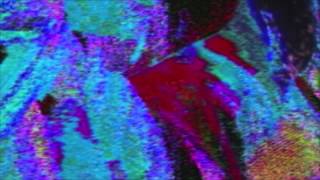 Bitchin Bajas KRAUESNED excerpt