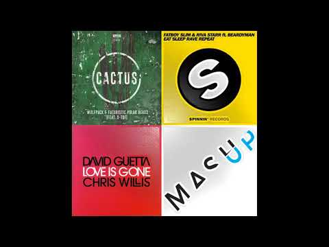 Wolfpack, F. Polar B, X-Tof, D. G. - Cactus, Love Is Gone (Sound Beat Mashup)