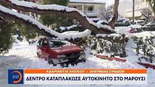 Δέντρο καταπλάκωσε αυτοκίνητο στο Μαρούσι | Μεσημεριανό Δελτίο Ειδήσεων 25/1/2022 | OPEN TV