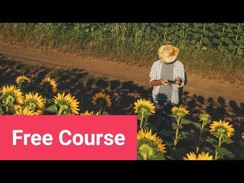 Graphic Design Basics FREE COURSE