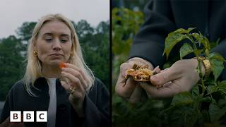 Why farm-to-table isn't just a 'trend' in Atlanta | BBC Global