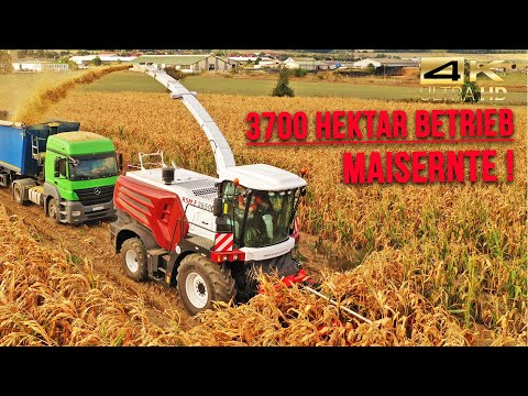 Agrar-GmbH Oldisleben: Konventioneller- und Bio-Ackerbau auf 3700 Hektar (Maisernte / Teil 4)