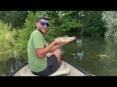 SUMMER CHUB! SURFACE FISHING! UNDER WATER FOOTAGE!!