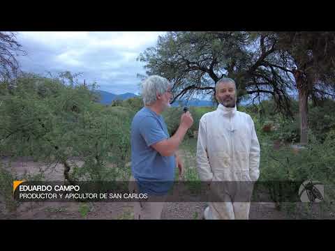 Eduardo Campo, productor y apicultor de San Carlos (Salta).