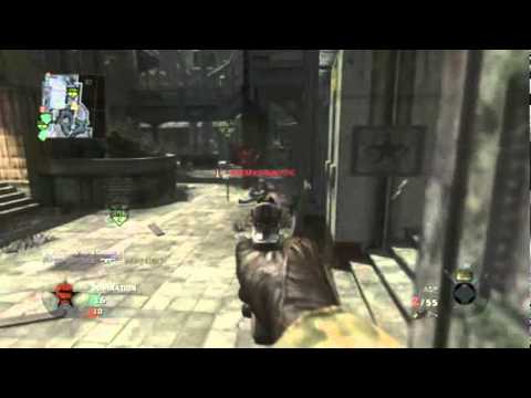 "The ASP, the Hawk, the Weasel." - Zoo