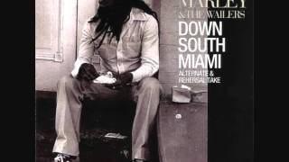 Bob Marley - Easy Skanking [Dub]