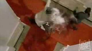 XMEN - Stop Looking Start Seeing