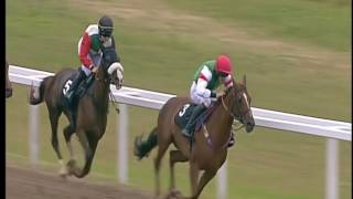 Chelmsford 15 July 2017 - Unity Belle wins again