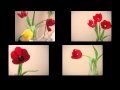 Springing