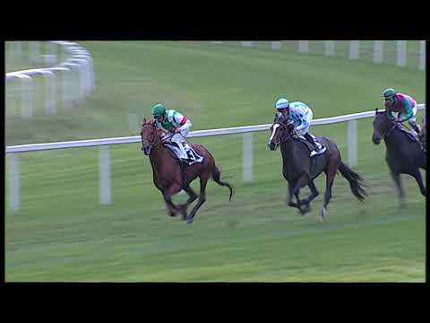 2019-11-21 Corsa 6 metri 2600 premio Litorale pisano