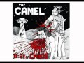 Butthole Surfers - Woly Boly ( Cover The Camel  )