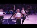 Honeybees Charlotte Hornets 3 20 2025