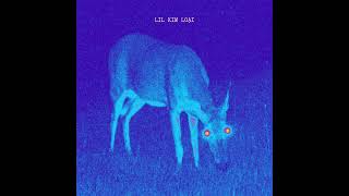 Cover art for Mắt nai (Lil Kim loại ver)