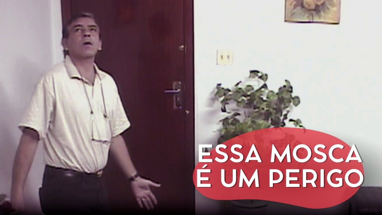 QUEM DIRIA QUE UMA MOSCA FARIA UM ESTRAGO DESSES | CÂMERAS ESCONDIDAS