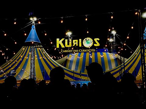 Du Soleil  ✂︎ Cabinet des Curiosités