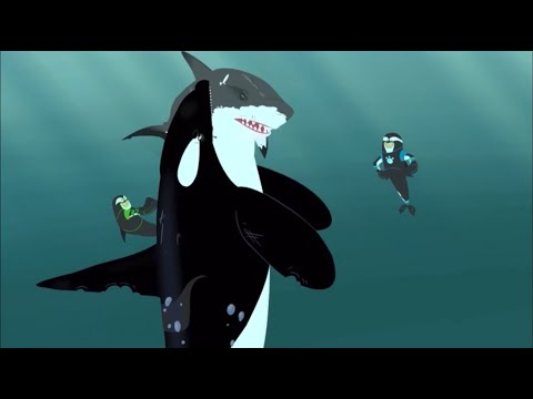 Wild Kratts S4E21 "This Orca Likes Sharks" Full Episode!!!