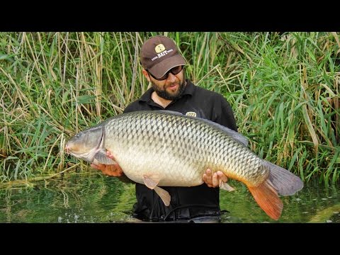 Carpin' with SBS Happy Carp Gang 2013