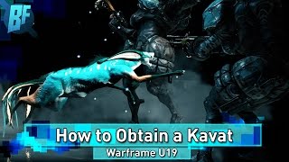 How to get a Kavat (Warframe cat companion) is it worth it? |Warframe u19