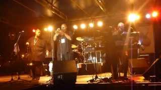 Big James & Chicago Playboys- Marquette Blues Festival- Tryin' To Live My Life Without You
