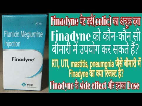 Finadyne Injection 100 ML