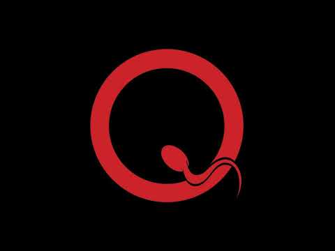 Hidden Track - Queens Of The Stone Age