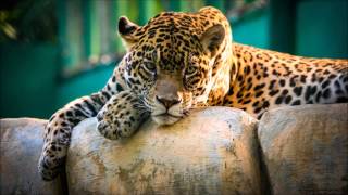 Mike Stud - Way Down (Prod. Louis Bell)