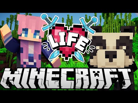 LDShadowLady - Pandas! | Ep. 5 | Minecraft X Life SMP