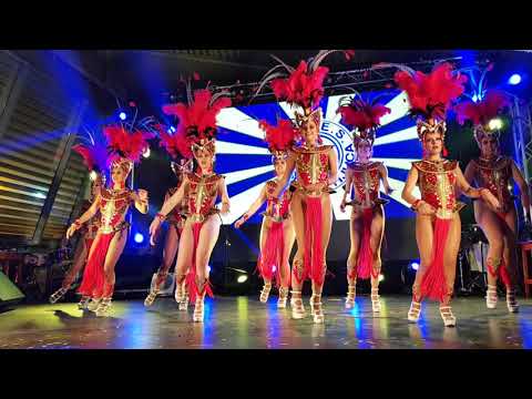 GRES AMIGOS DA TIJUCA pt2 @FESTIVAL DE SAMBA DE ESTARREJA 2019
