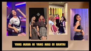 Download lagu Yang mana nih yang mau di bantai (easy) mp3 Download lagu Yang mana nih yang mau di bantai (easy) mp3