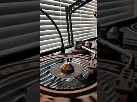 The TAMS,    Be Young Be Foolish Be Happy