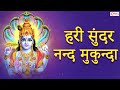 Hari Sundar Nand Mukunda Beautiful Krishna Bhajan Krishna Songs हरि सुंदर नंद 