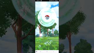 Flying Pokemon #pokemongo #packbattle #pokemoncards #pokemon #shorts