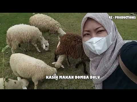 PIKNIK RT PAKAI BUS DAMRI, GASSS ...