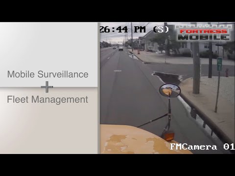 Video Image
