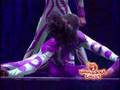 Universoul Circus
